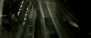 11- 