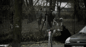   :  ,  -