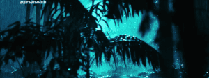    4:  