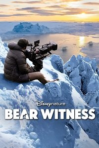  Наблюдение за медведем